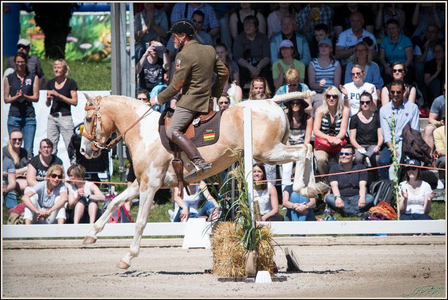 Pferd International 128